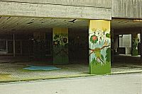 PERROQUET